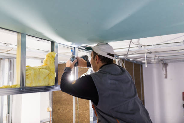 Best Specialized Insulation Services in Tucumcari, NM