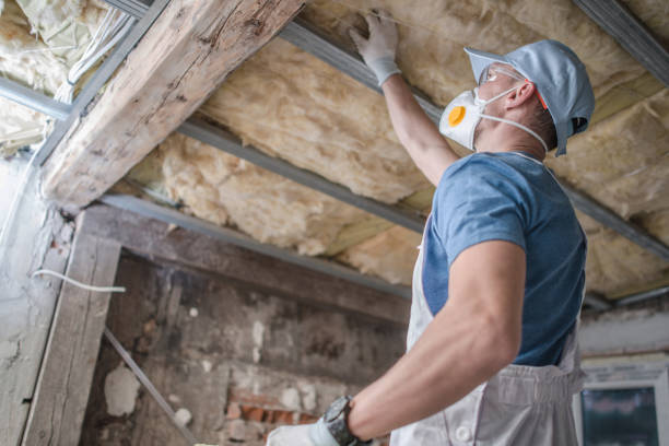Best Blown-in Insulation in Tucumcari, NM