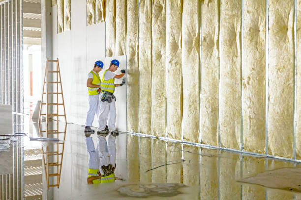 Trusted Tucumcari, NM Insulation Contractor Experts